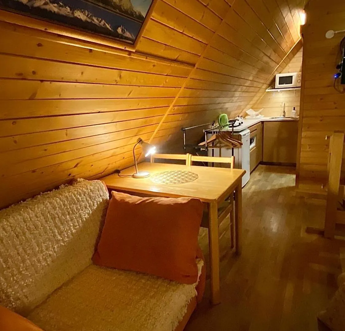 Apartament Centrum Zakopane Apartment